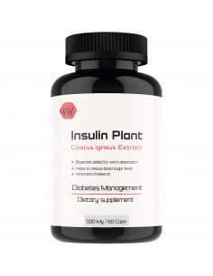 Vitaminhaat Insulin Plant...