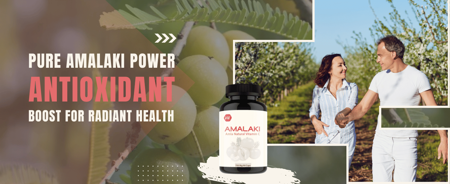 Amalaki Antioxidant