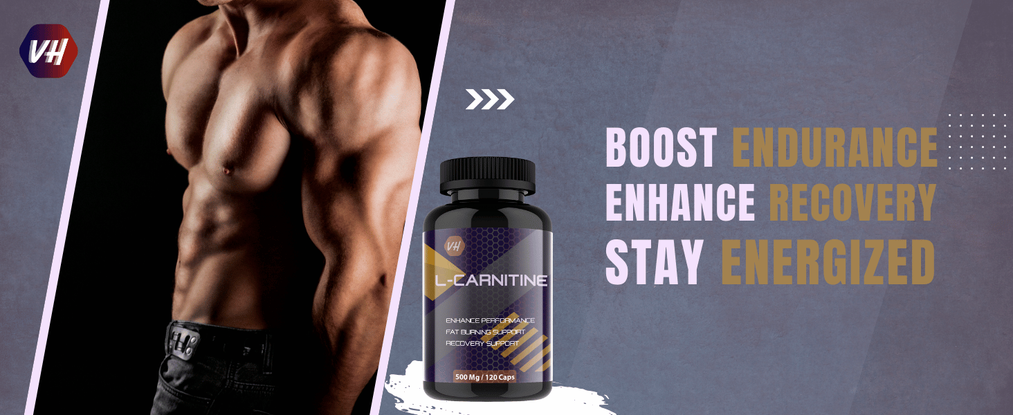 L Carnitine Amino Acids